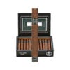 Java Mint Robusto