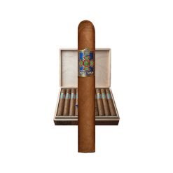 Foundation Wise Man Corojo Robusto