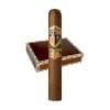 The American Toro