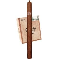 Tatuaje Selección de Cazadore Especiales