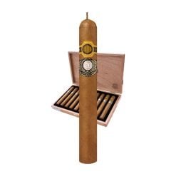 Warped La Colmena 10th Anniversary Amado No. 50