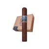 Warped Sarto Robusto