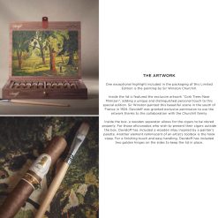 Davidoff Winston Churchill Limited Edition 2025 "The Artist" (7" x 48) - Image 5