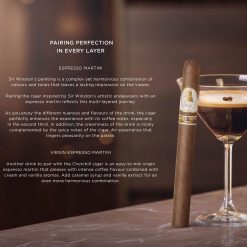 Davidoff Winston Churchill Limited Edition 2025 "The Artist" (7" x 48) - Image 8