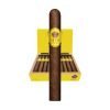 Room101 15th Anniversary Toro