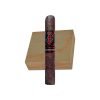 Powstanie San Andres Robusto