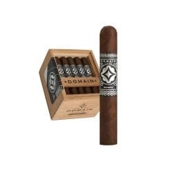 Domain Entropy Robusto Extra