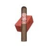 Matilde Renacer Robusto