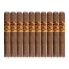 Rojas Street Tacos Barbacoa Toro 10 Pack