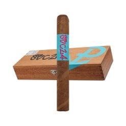 Powstanie SBC 2024 Corona