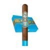 My Father Blue Honduras Toro