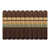San Cristobal Papagayo XXL