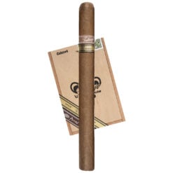 Tatuaje Escasos T (7" x 49)