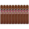Rojas Street Tacos Al Pastor Gordo 10 Pack