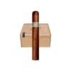 Warped Cloud Hopper 485