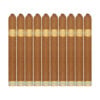 Dunbarton Tobacco & Trust Sobremesa Brûlée Blue 10 Pack