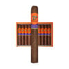 Aganorsa Supreme Leaf Euro Toro