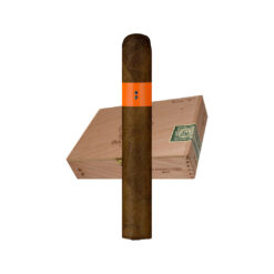 Patoro Serie P Robusto