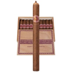 Casdagli Daughters of the Wind Rosado Lonsdale