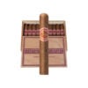 Casdagli Daughters of the Wind Rosado Robusto