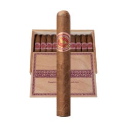 Casdagli Daughters of the Wind Rosado Toro